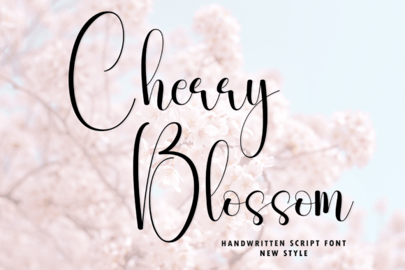 Cherry Blossom